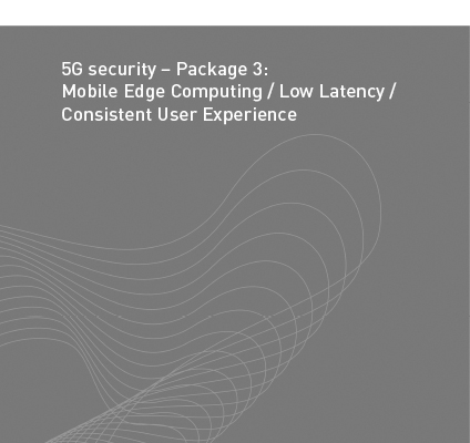 180220 NGMN 5G Security MEC ConsistentUExp v2.0