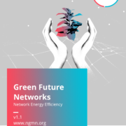 Green Future Networks - Network Energy Efficiency