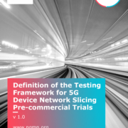 220228_Definition-of-the-Testing-Framework_Cover