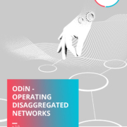 ODiN-Operating-Disaggregated-Networks