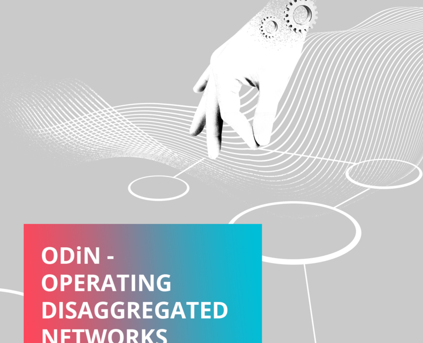 ODiN-Operating-Disaggregated-Networks