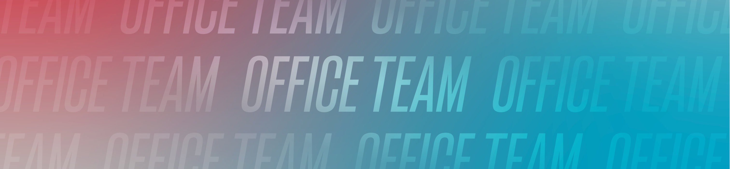 OFFICE TEAM OFFICE TEAM