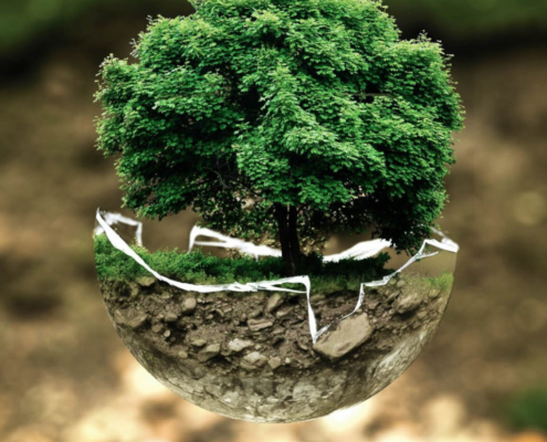 Ecology