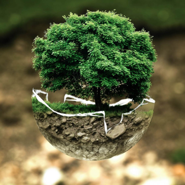 Ecology