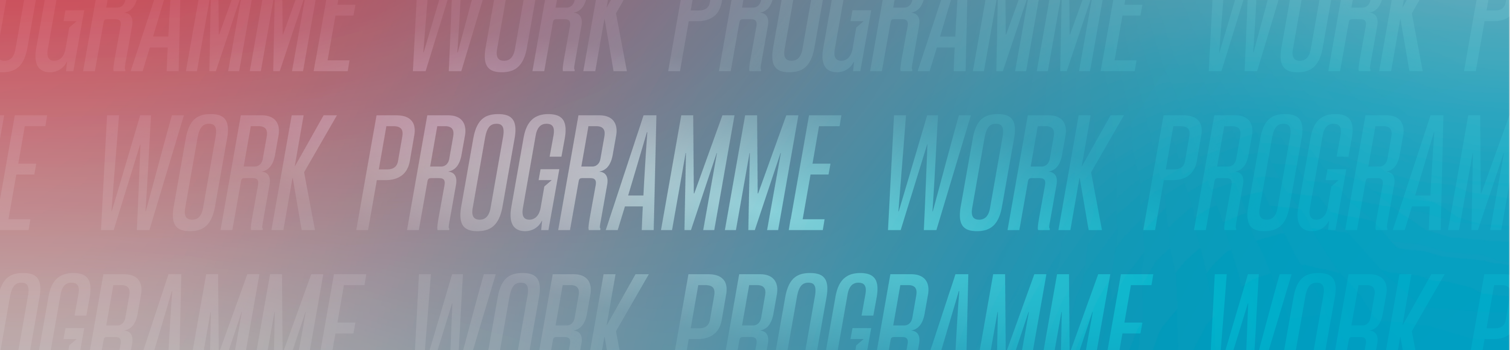 WorkProgramme