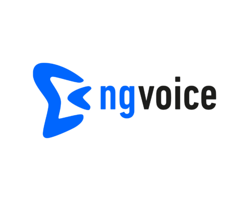 ng-voice logo-01
