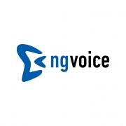 ng-voice-logo