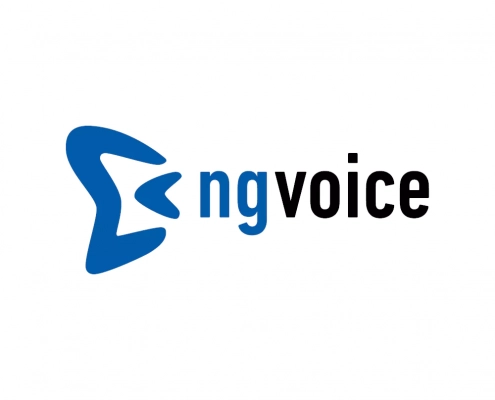 ng-voice-logo