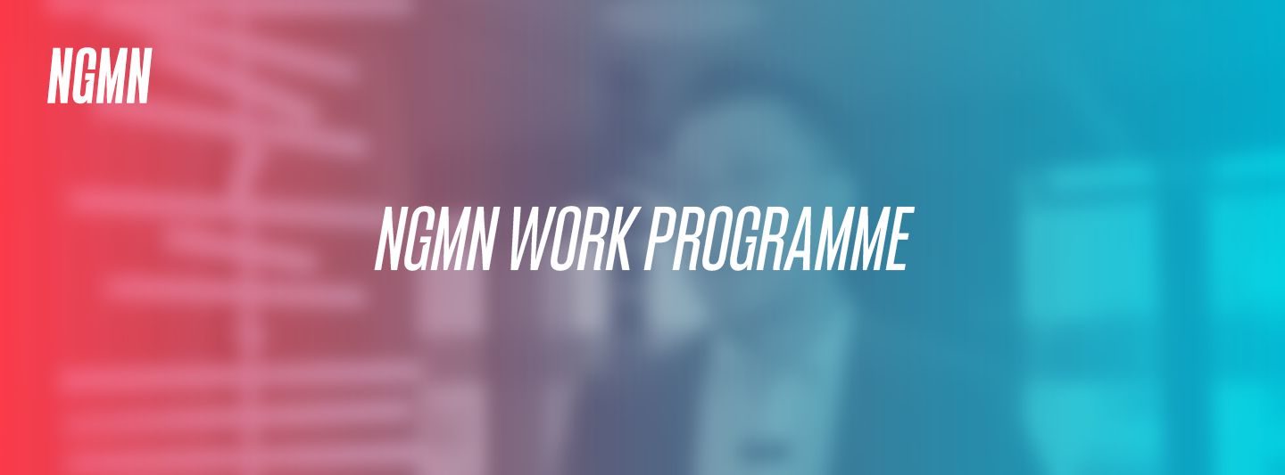 ngmn_work programme